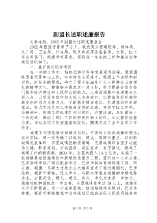 2024年副盟长述职述廉报告