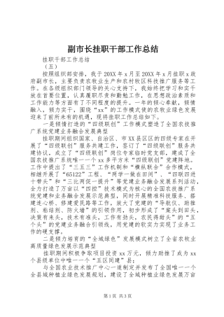 2024年副市长挂职干部工作总结