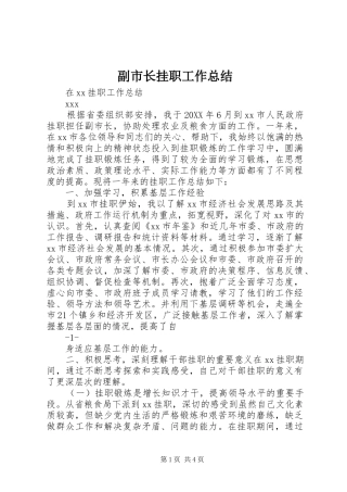 2024年副市长挂职工作总结