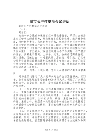 2024年副市长严打整治会议致辞