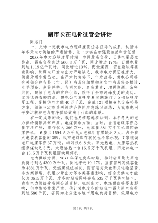 2024年副市长在电价征管会致辞