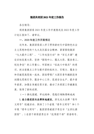 集团共青团2021年度工作报告