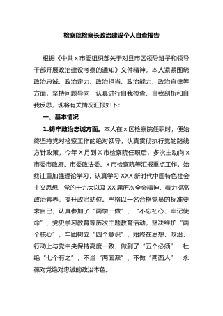 检察院检察长政治建设个人自查报告