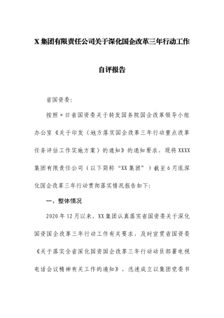 集团有限责任公司关于深化国企改革三年行动工作自评报告