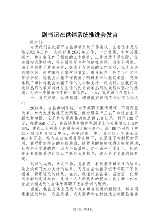 2024年副书记在供销系统推进会讲话