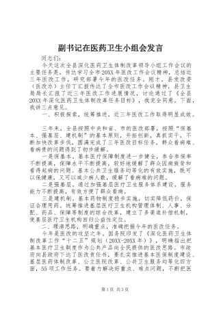 2024年副书记在医药卫生小组会讲话