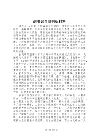 2024年副书记自我剖析材料