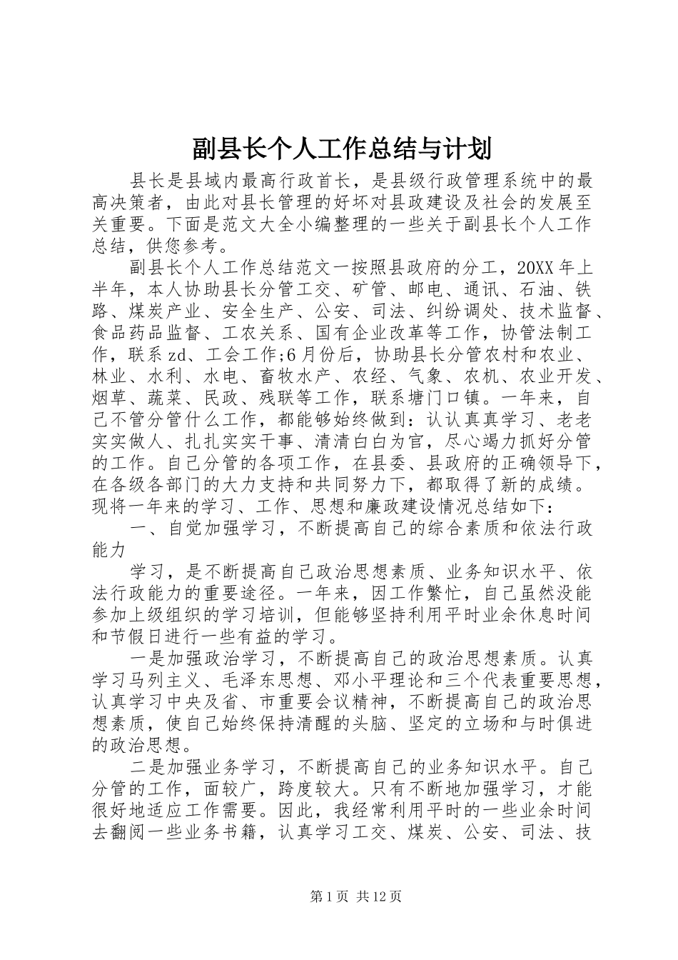 2024年副县长个人工作总结与计划_第1页