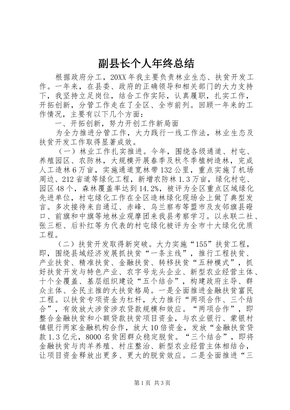 2024年副县长个人年终总结_第1页