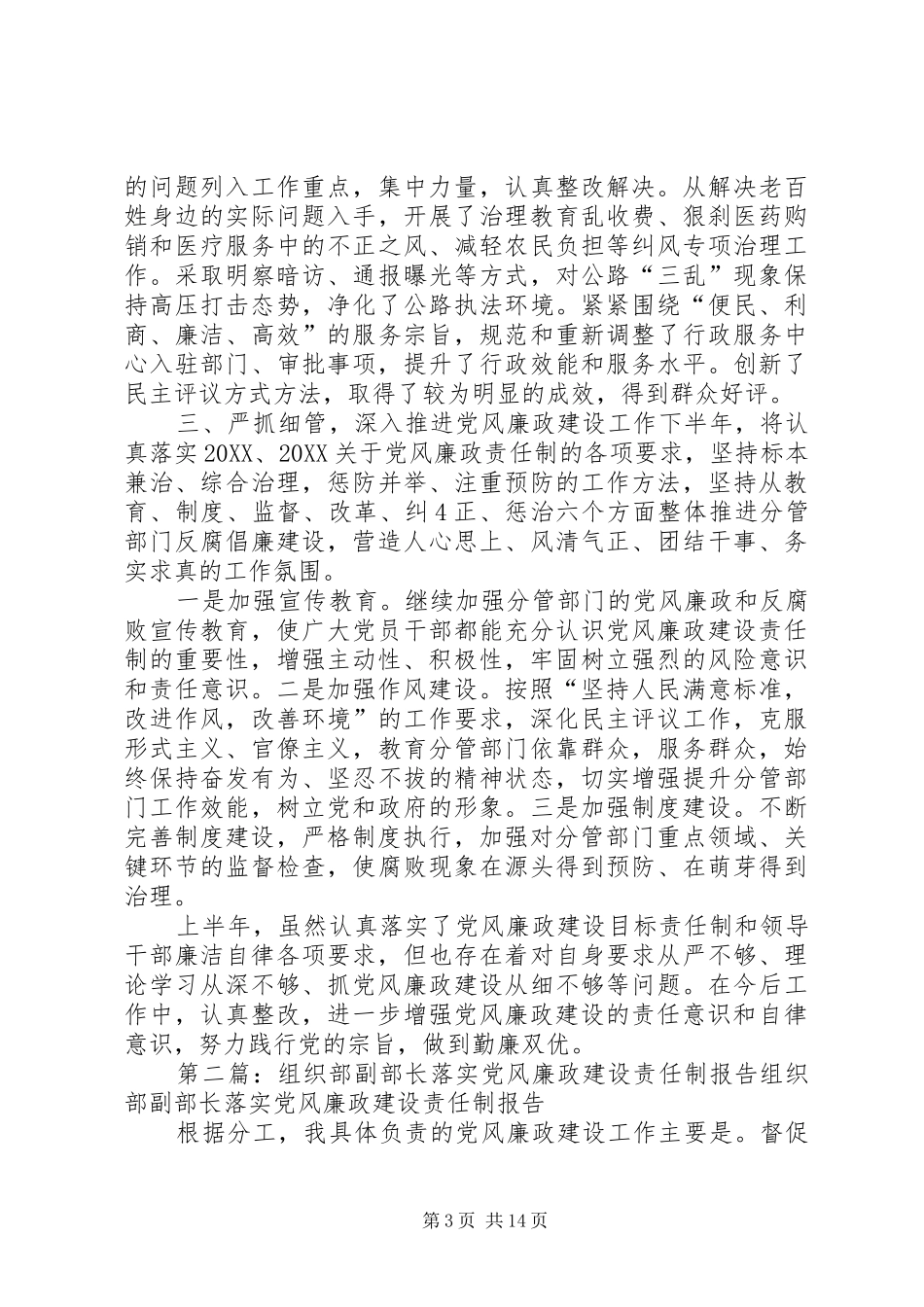 2024年副县长落实党风廉政建设责任制报告_第3页