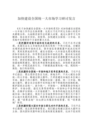 加快建设全国统一大市场学习研讨发言