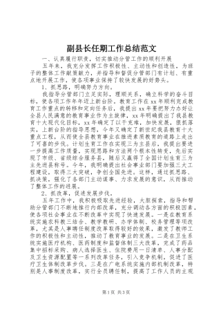 2024年副县长任期工作总结范文