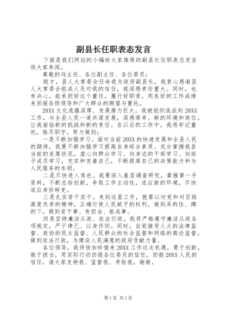 2024年副县长任职表态讲话