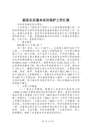 2024年副县长在基本农田保护工作汇报