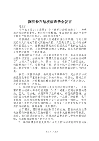 2024年副县长在结核病宣传会讲话