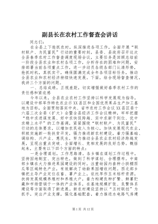 2024年副县长在农村工作督查会致辞