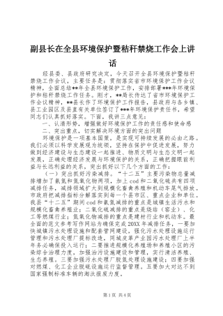 2024年副县长在全县环境保护暨秸秆禁烧工作会上致辞