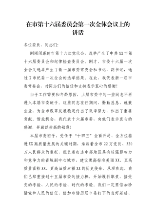 在市第十六届委员会第一次全体会议上的讲话
