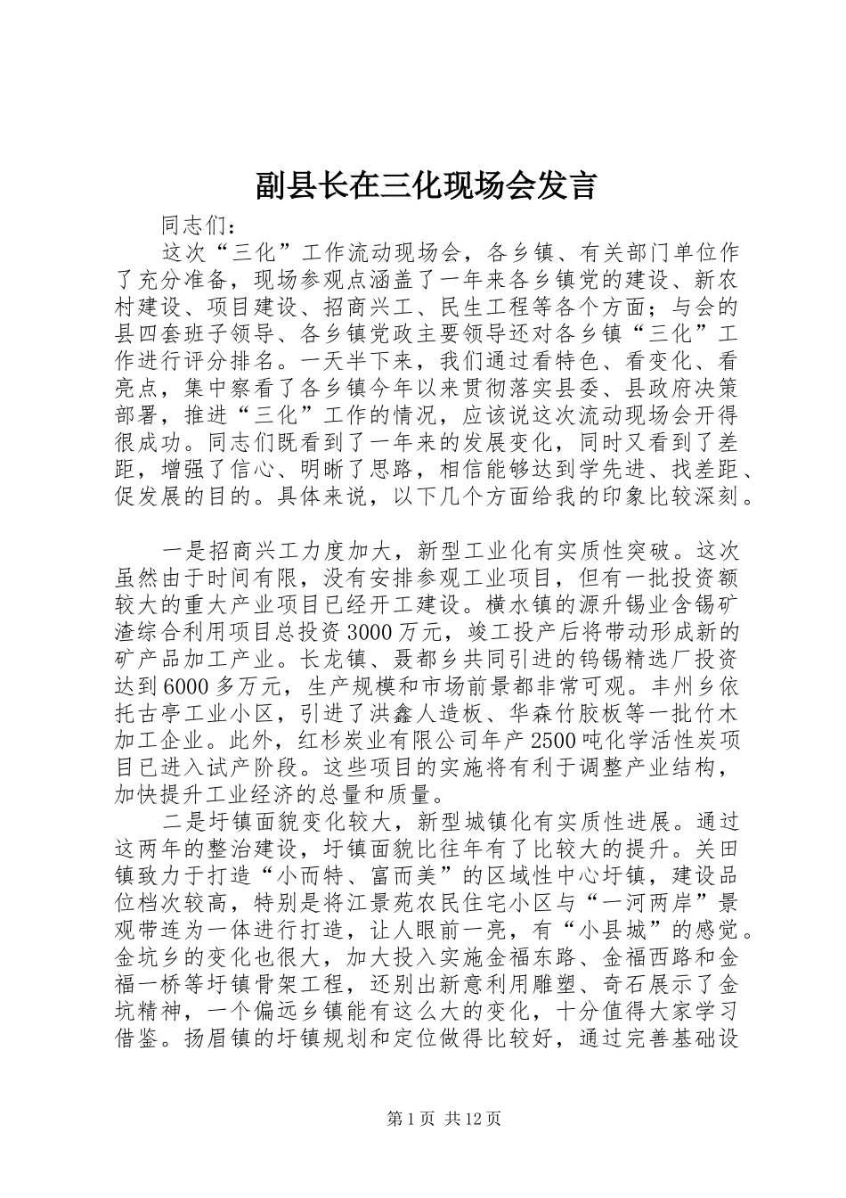 2024年副县长在三化现场会讲话_第1页
