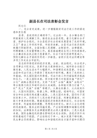 2024年副县长在司法表彰会讲话