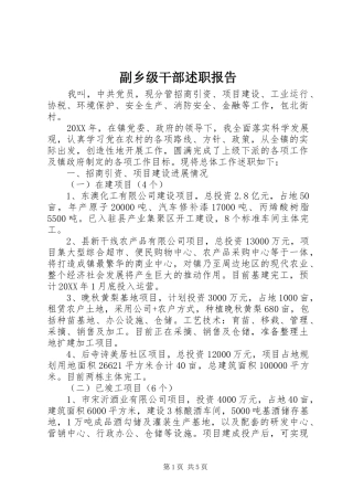 2024年副乡级干部述职报告