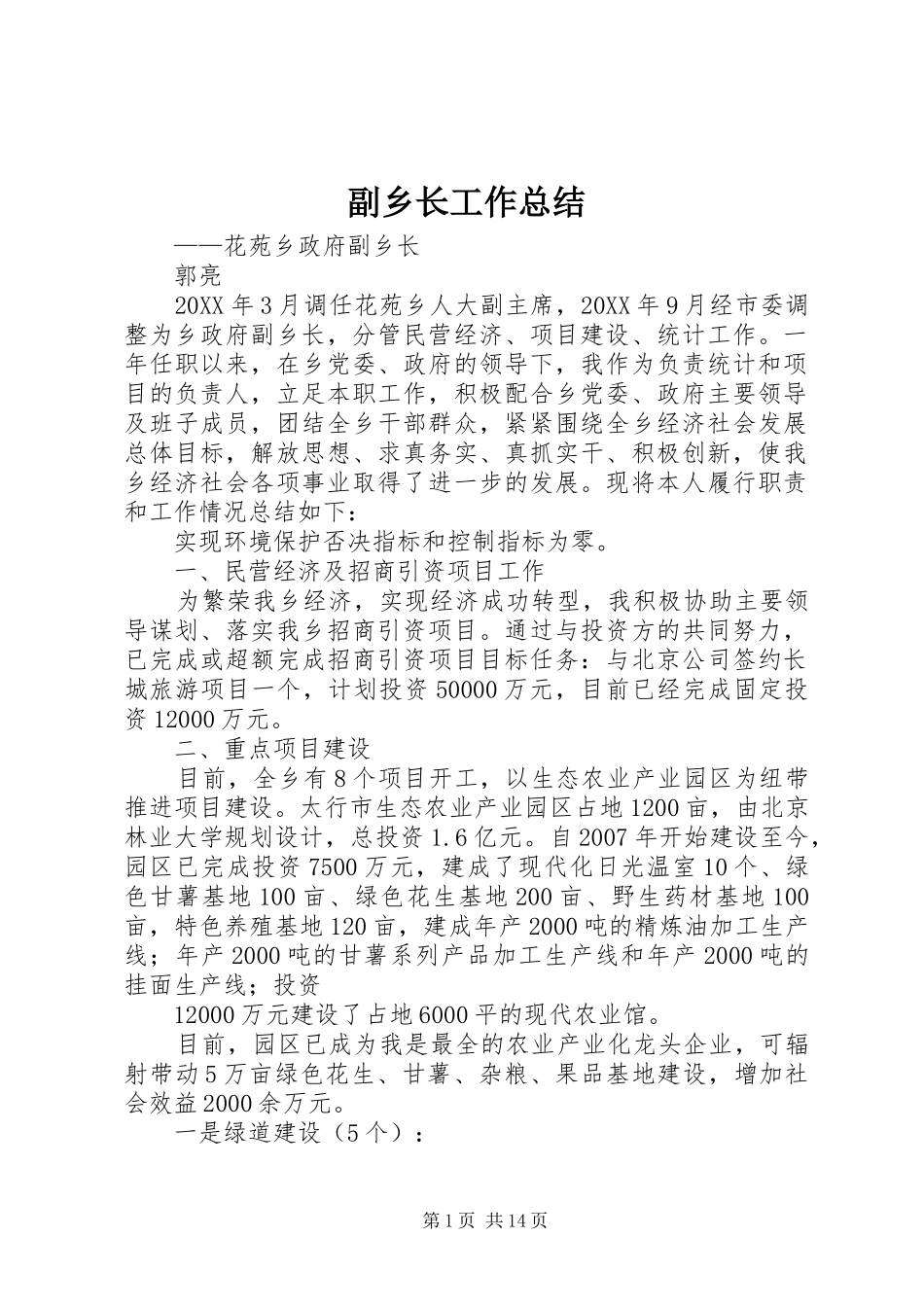 2024年副乡长工作总结_第1页