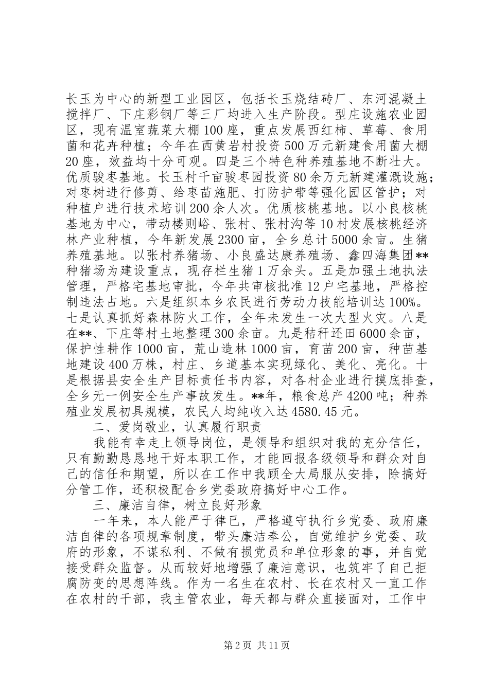 2024年副乡长述职报告范文大全_第2页