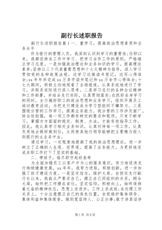 2024年副行长述职报告