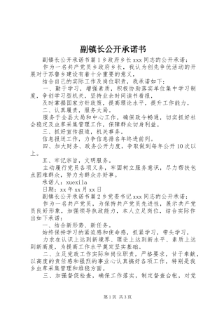 2024年副镇长公开承诺书