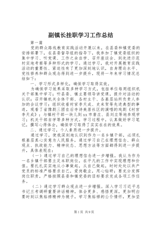 2024年副镇长挂职学习工作总结