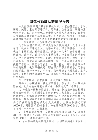 2024年副镇长勤廉从政情况报告