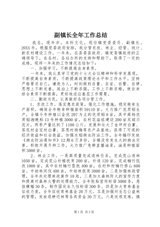 2024年副镇长全年工作总结