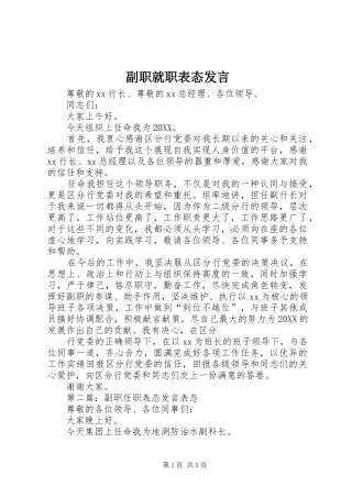 2024年副职就职表态讲话