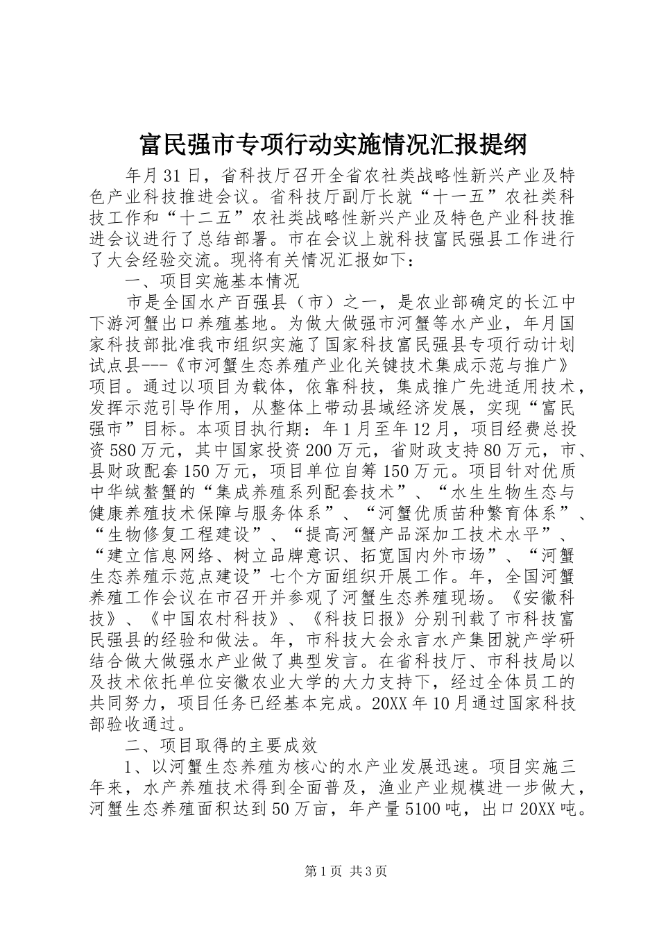 2024年富民强市专项行动实施情况汇报提纲_第1页