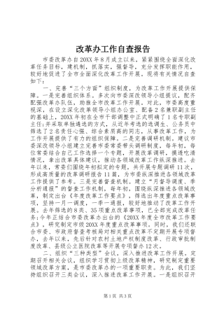 2024年改革办工作自查报告