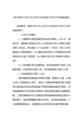 审计局关于2022年上半年工作总结及下半年工作安排的报告