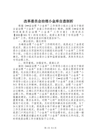 2024年改革委员会治理小金库自查剖析