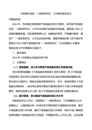 市供销社党组一报告两评议工作情况报告范文