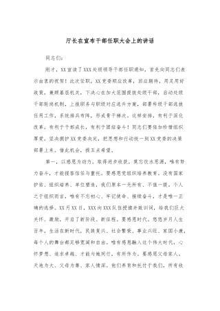 厅长在宣布干部任职大会上的讲话