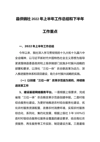 县供销社2022年上半年工作总结和下半年工作重点