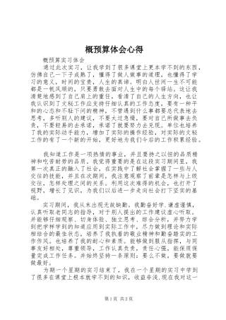 2024年概预算体会心得