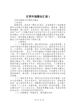 2024年甘草环境整治汇报