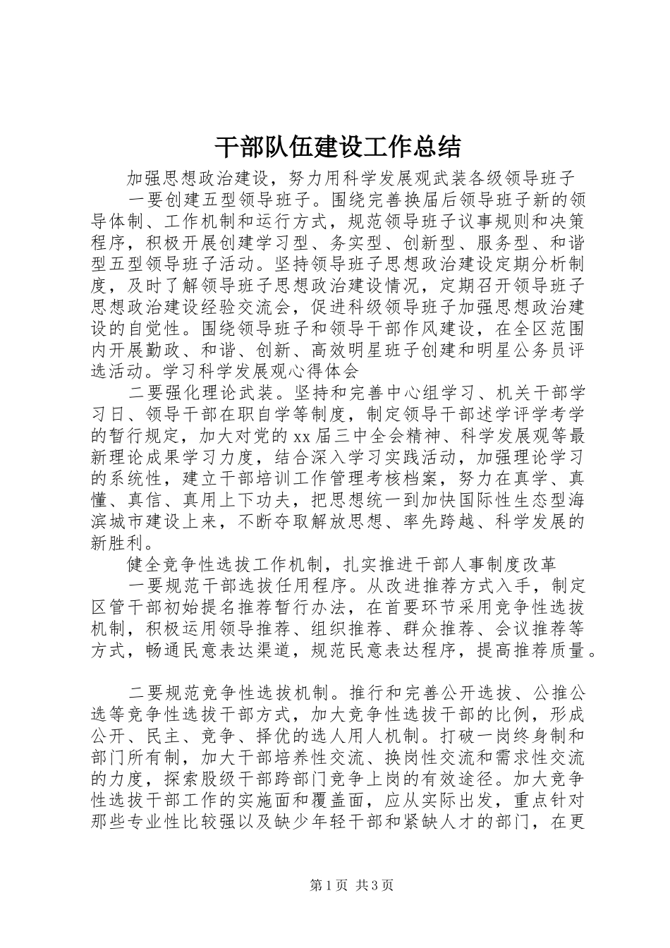 2024年干部队伍建设工作总结_第1页