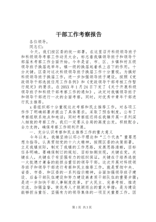 2024年干部工作考察报告