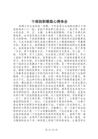 2024年干部挂职锻炼心得体会