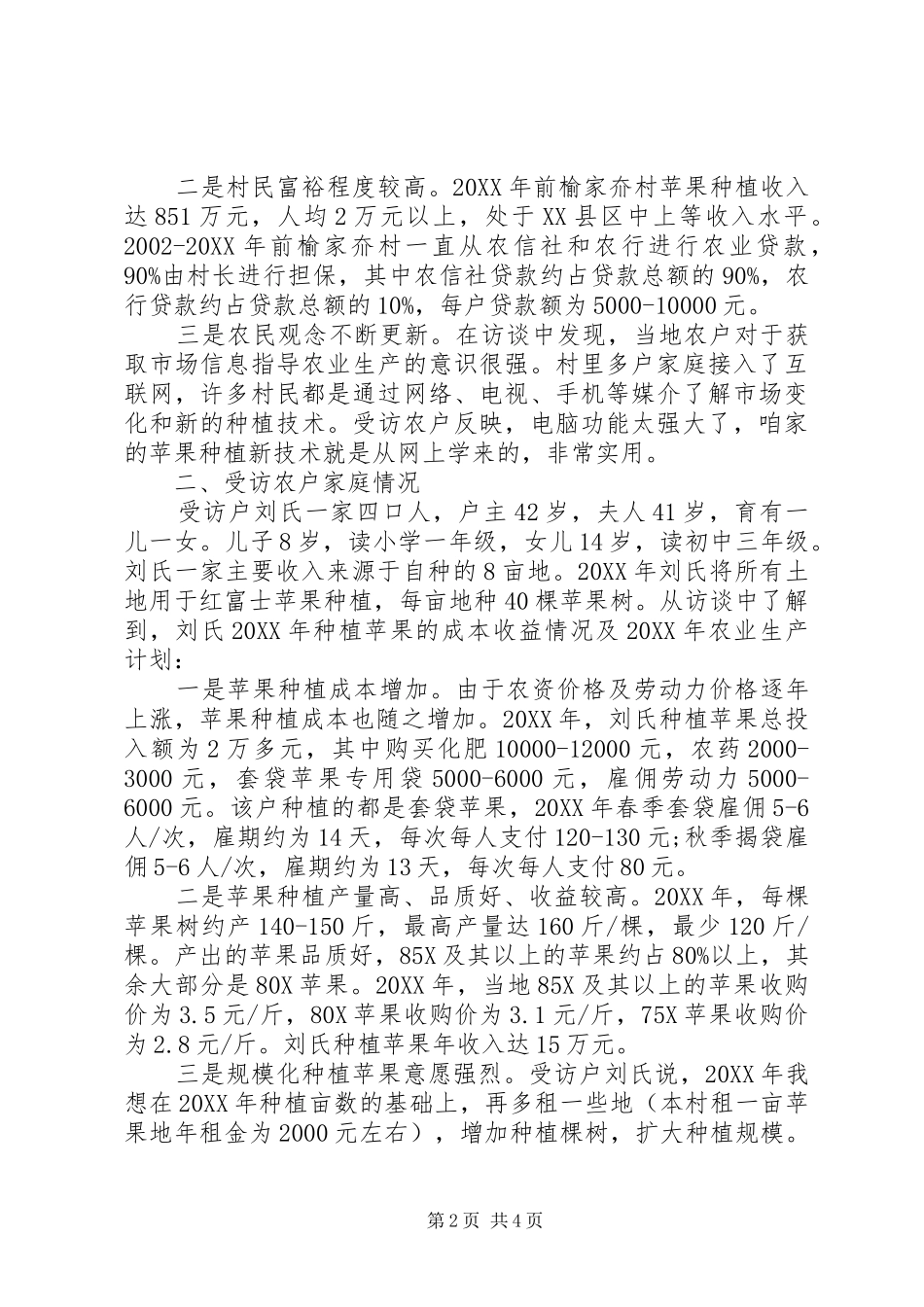 2024年干部回乡调研报告_第2页