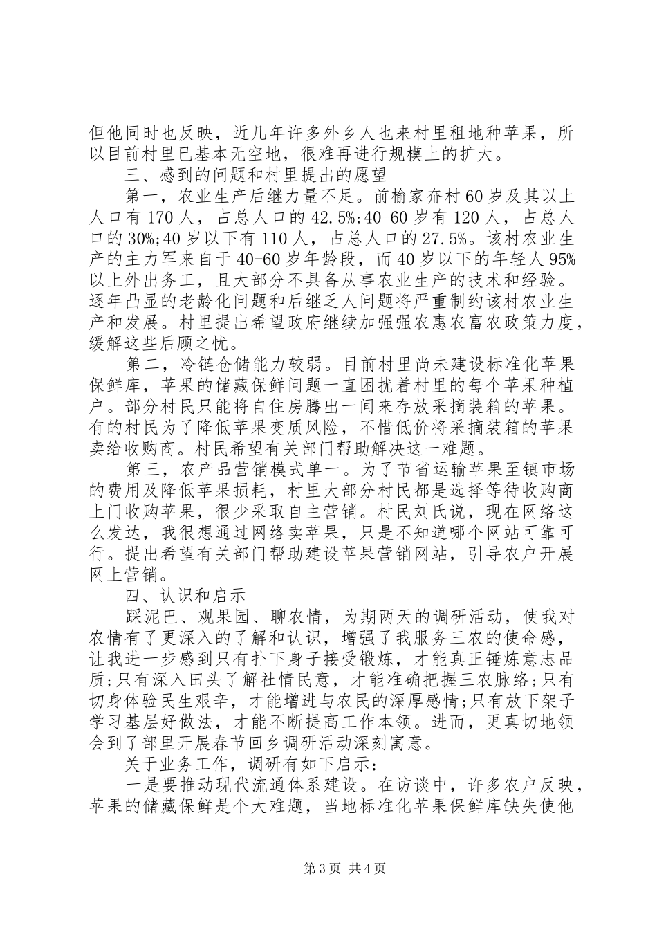 2024年干部回乡调研报告_第3页
