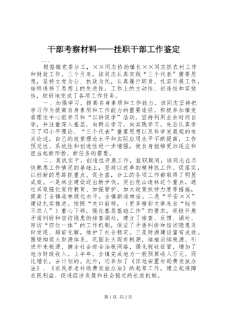 2024年干部考察材料挂职干部工作鉴定
