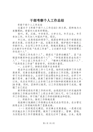 2024年干部考察个人工作总结