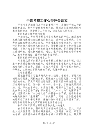 2024年干部考察工作心得体会范文